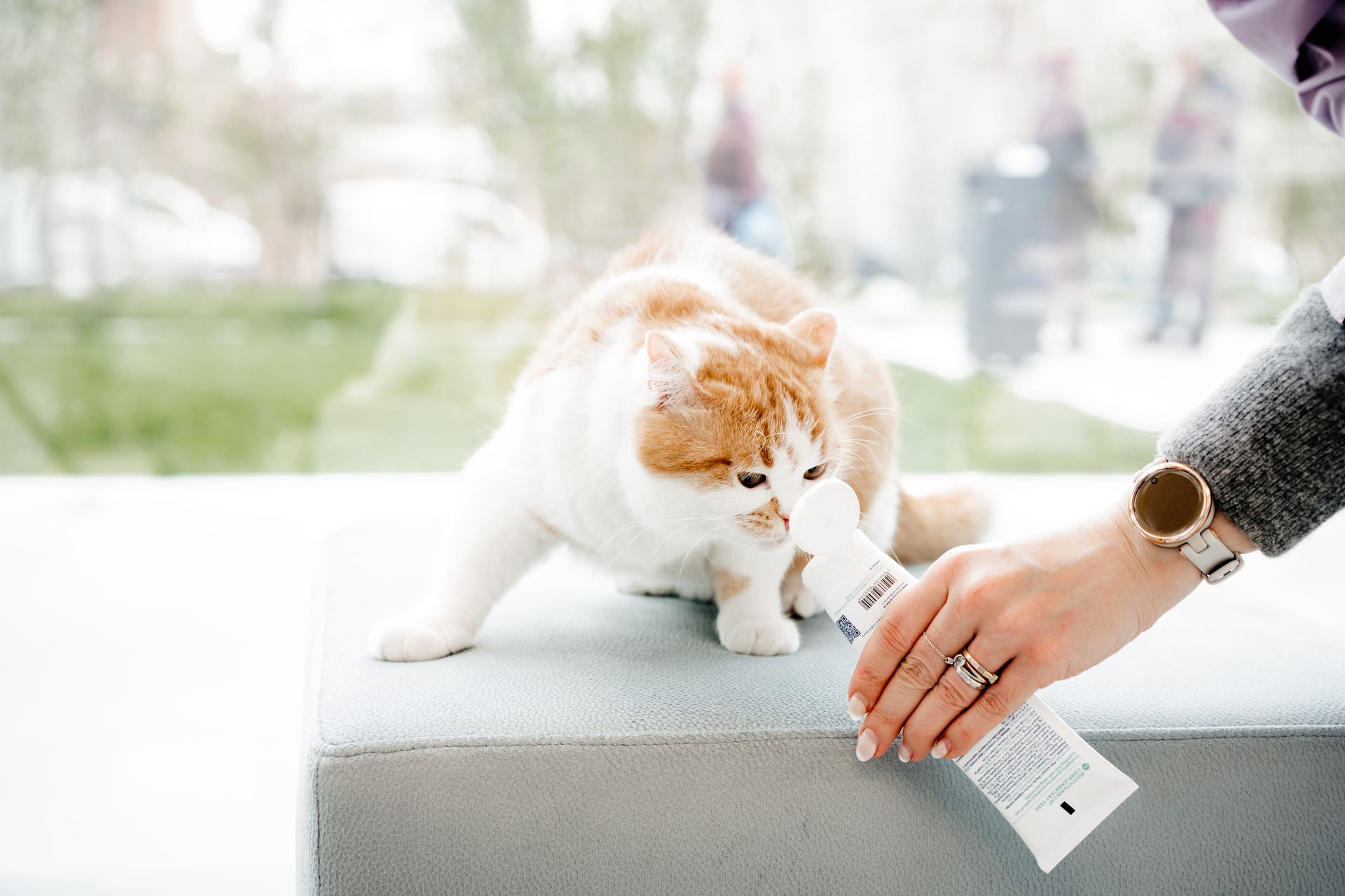 MobilePet